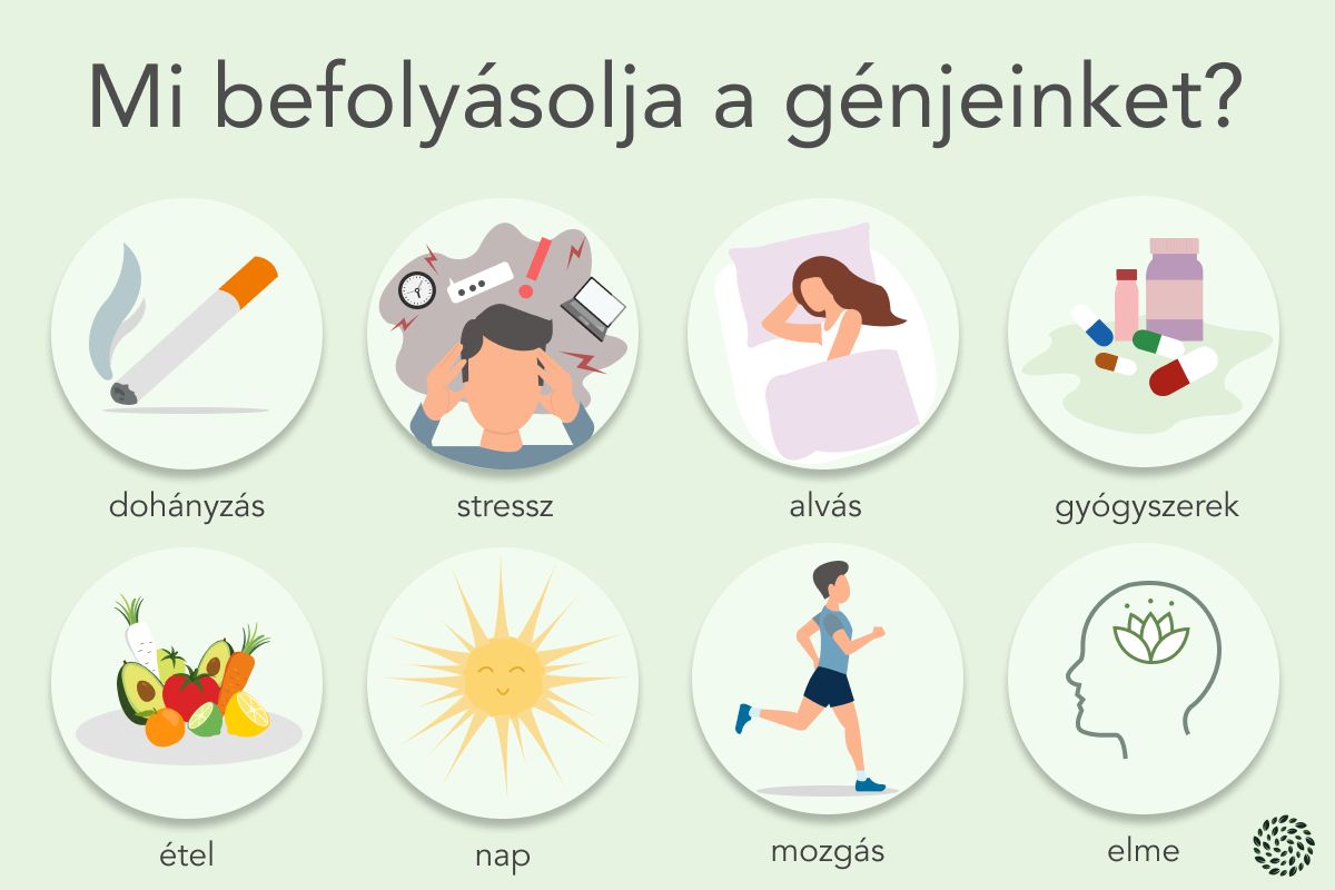 mi befolyásolja génjeinket - infografika